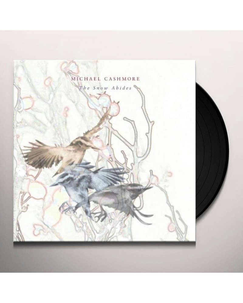 Michael Cashmore SNOW ABIDES Vinyl Record $6.43 Vinyl