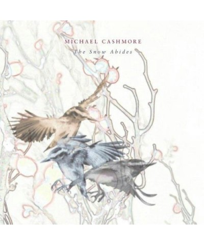 Michael Cashmore SNOW ABIDES Vinyl Record $6.43 Vinyl